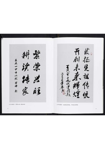 山西王氏-青塘王氏宗谱[不分卷].pdf电子版预览图5