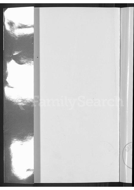 山西王氏-王氏族谱 [不分卷](别名：山西孝义王氏族谱).pdf电子版预览图2