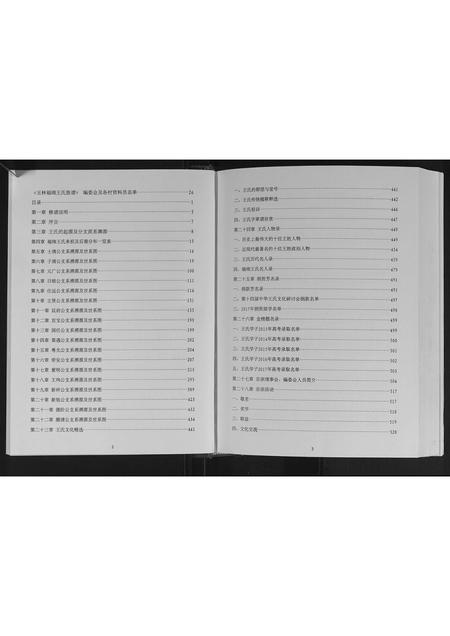 广西王氏-玉林王氏族谱.pdf电子版预览图1