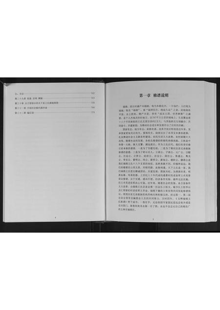 广西王氏-玉林王氏族谱.pdf电子版预览图2