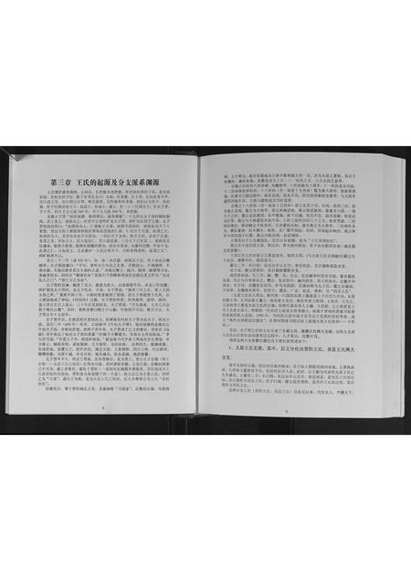 广西王氏-玉林王氏族谱.pdf电子版预览图4