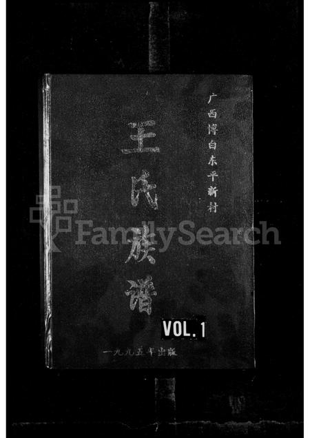 广西王氏-王氏族谱.pdf电子版缩略图