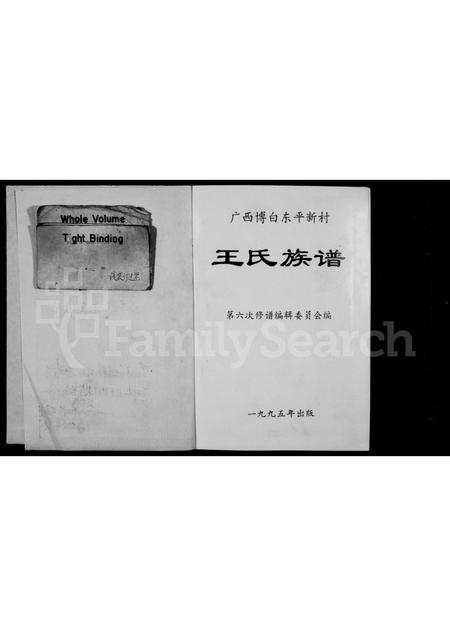 广西王氏-王氏族谱.pdf电子版预览图1