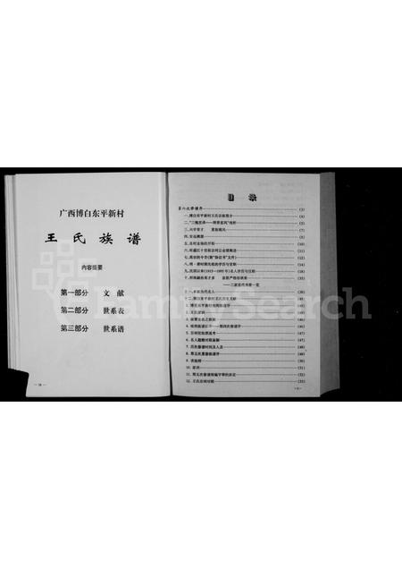 广西王氏-王氏族谱.pdf电子版预览图4