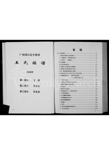 广西王氏-王氏族谱.pdf电子版预览图5