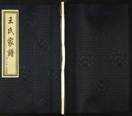 河北王氏-王氏家谱.pdf电子版缩略图