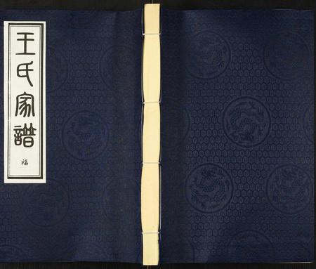 河北王氏-王氏家谱.pdf电子版缩略图