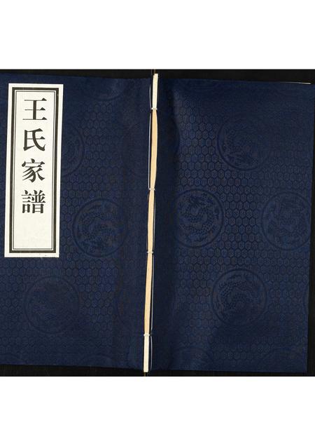 河北王氏-王氏家谱.pdf电子版缩略图