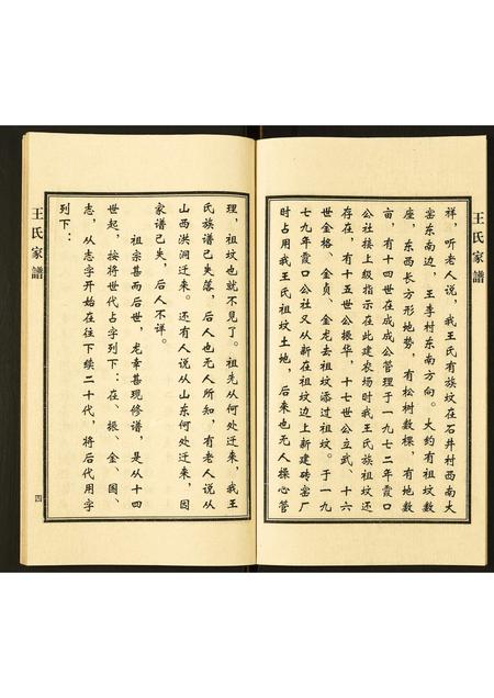 河北王氏-王氏家谱.pdf电子版预览图5