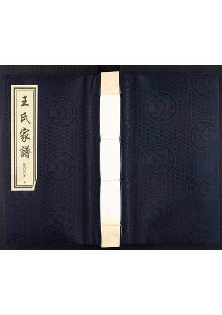 河北王氏-王氏家谱.pdf电子版缩略图