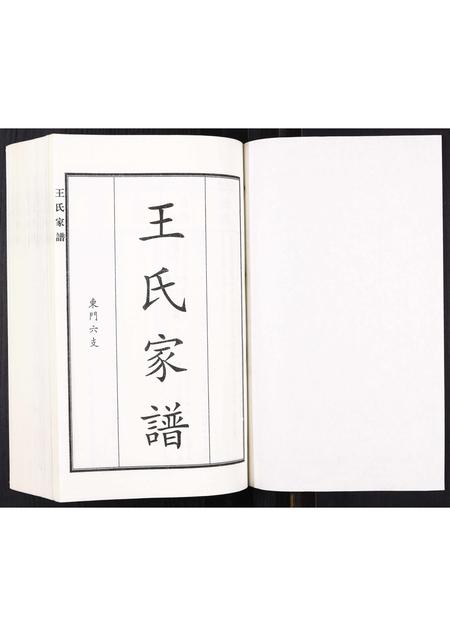 河北王氏-王氏家谱.pdf电子版预览图1