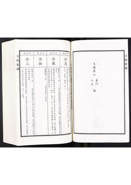 河北王氏-王氏家谱.pdf电子版预览图2