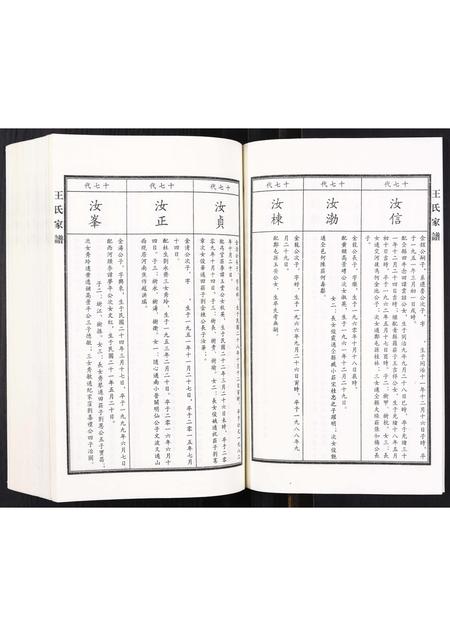 河北王氏-王氏家谱.pdf电子版预览图3