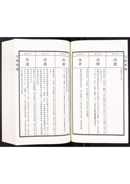 河北王氏-王氏家谱.pdf电子版预览图5