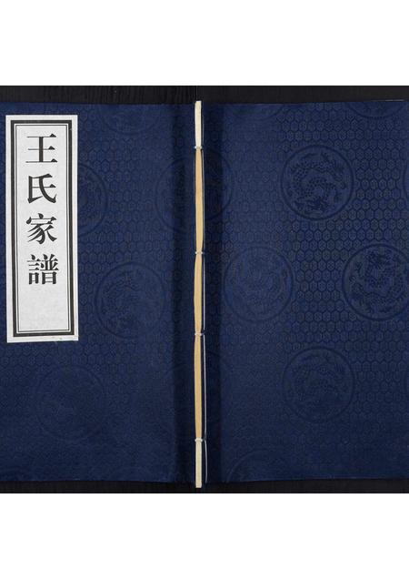 河北王氏-王氏家谱.pdf电子版缩略图