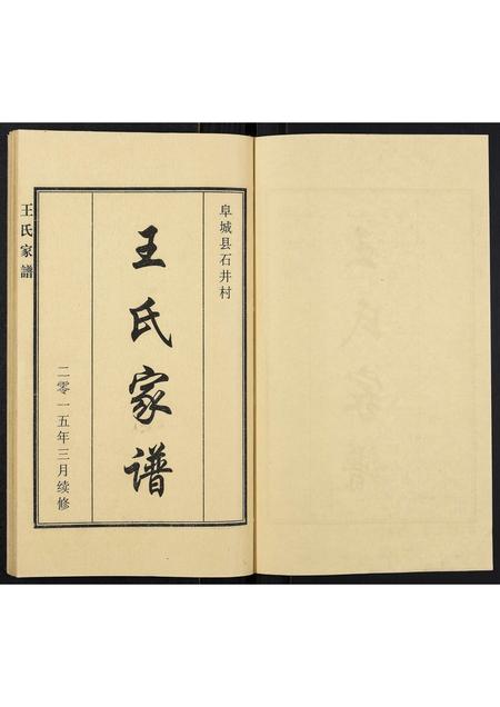 河北王氏-王氏家谱.pdf电子版预览图1