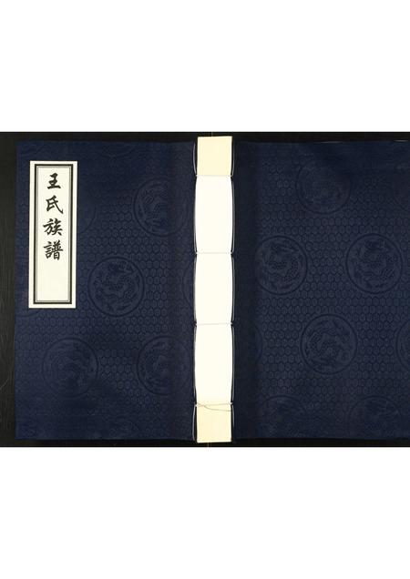 河北王氏-王氏族谱.pdf电子版缩略图