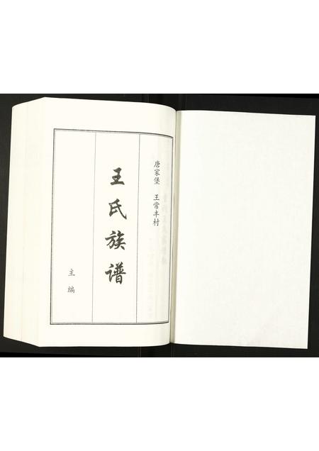 河北王氏-王氏族谱.pdf电子版预览图1