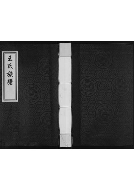 河北王氏-王氏族谱.pdf电子版缩略图