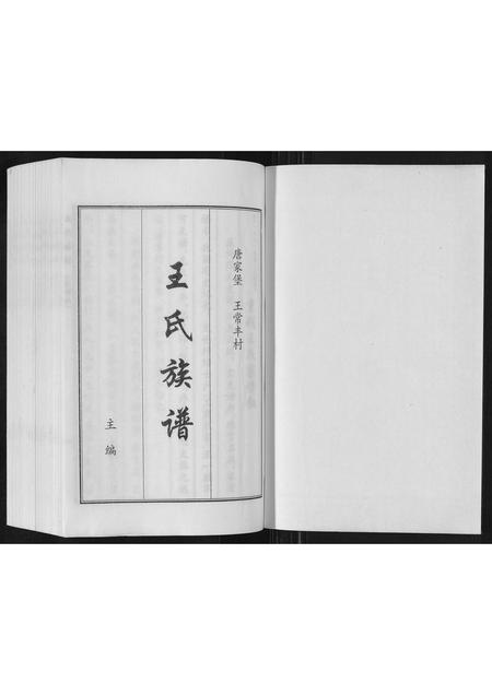 河北王氏-王氏族谱.pdf电子版预览图1