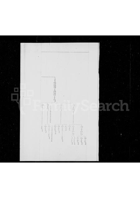 河北王氏-直隶省滦州石佛口卢龙县安家楼卢龙县阚家庄王姓宗谱.pdf电子版预览图3