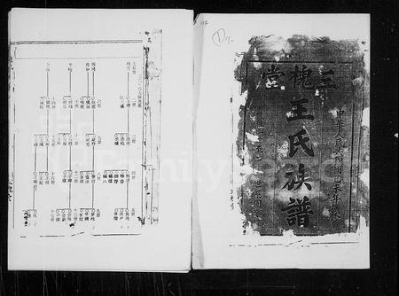 海南王氏-三槐堂王氏族谱 [残卷](别名：王氏族谱).pdf电子版预览图1