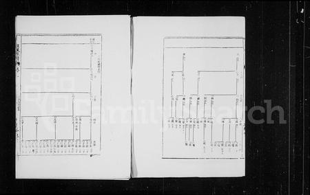 海南王氏-三槐堂王氏族谱 [残卷](别名：王氏族谱).pdf电子版预览图2