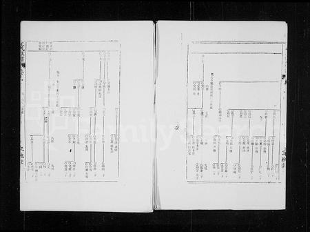 海南王氏-三槐堂王氏族谱 [残卷](别名：王氏族谱).pdf电子版预览图3