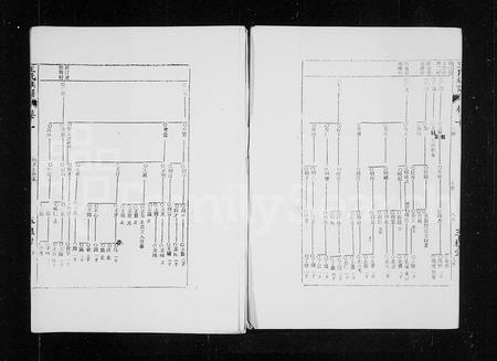 海南王氏-三槐堂王氏族谱 [残卷](别名：王氏族谱).pdf电子版预览图4