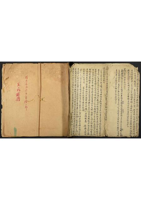 海南王氏-王氏族谱.pdf电子版缩略图