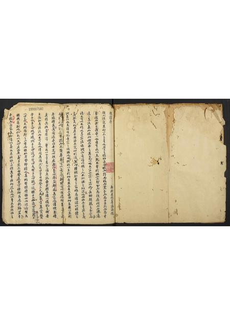 海南王氏-王氏族谱.pdf电子版预览图1