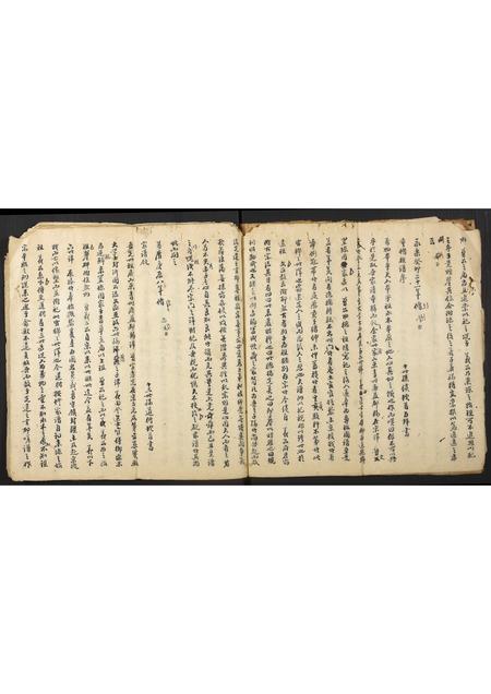 海南王氏-王氏族谱.pdf电子版预览图3