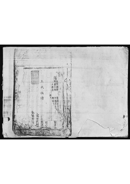 海南王氏-王氏族谱 [残卷](别名：Wang Shi Zu Pu).pdf电子版预览图1