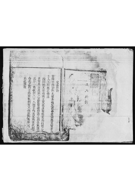 海南王氏-王氏族谱 [残卷](别名：Wang Shi Zu Pu).pdf电子版预览图2