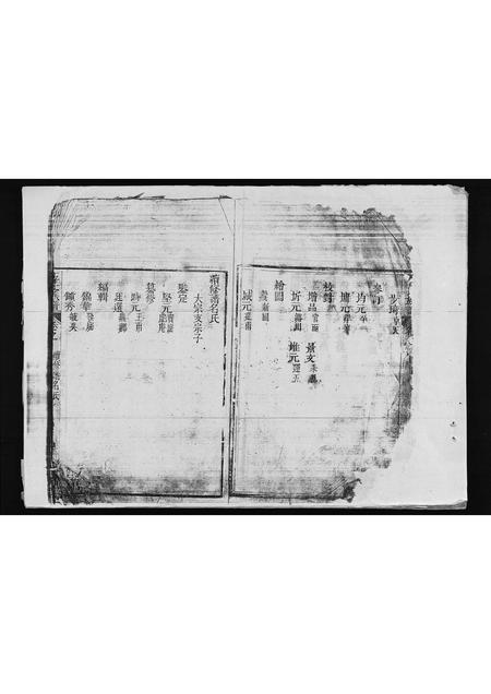 海南王氏-王氏族谱 [残卷](别名：Wang Shi Zu Pu).pdf电子版预览图4