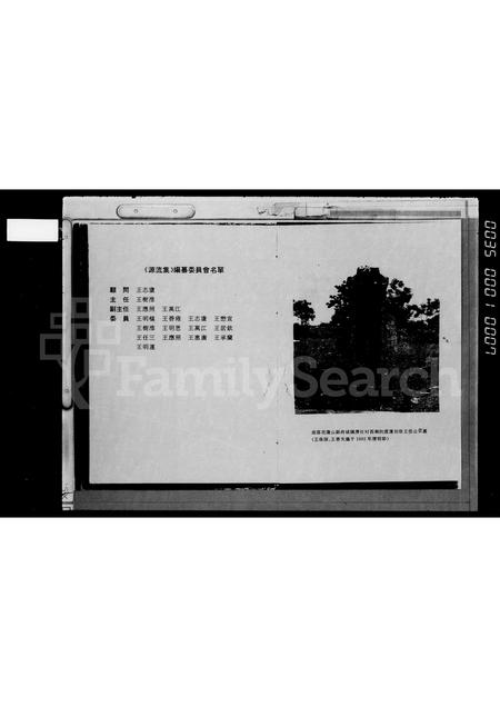 海南王氏-[琼州王氏]源流集.pdf电子版预览图3