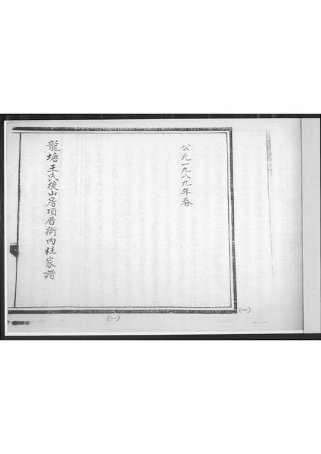 海南王氏-龙塘王氏后山房顶厝衙内柱家谱.pdf电子版预览图2