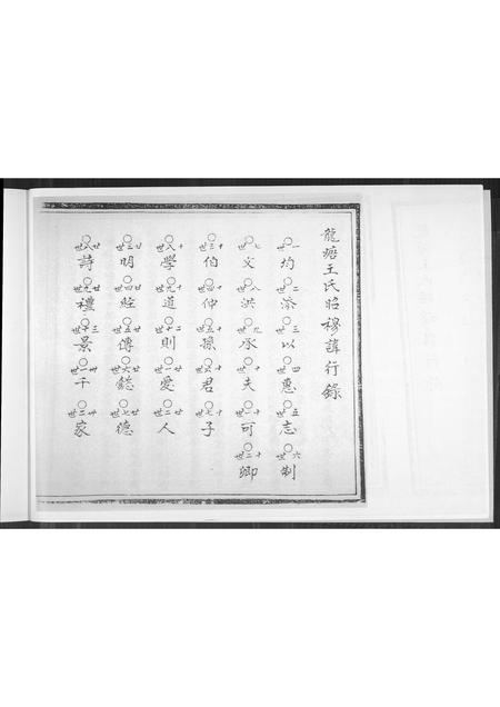 海南王氏-龙塘王氏后山房顶厝衙内柱家谱.pdf电子版预览图5