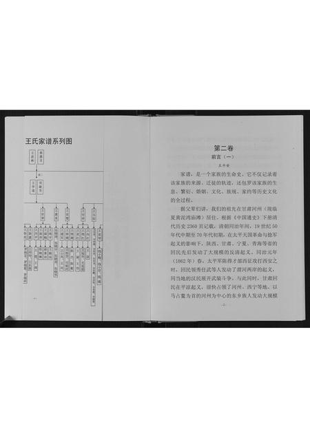 甘肃王氏-王氏家谱.pdf电子版预览图5
