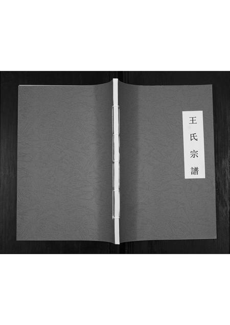 贵州王氏-王氏宗谱[不分卷].pdf电子版缩略图