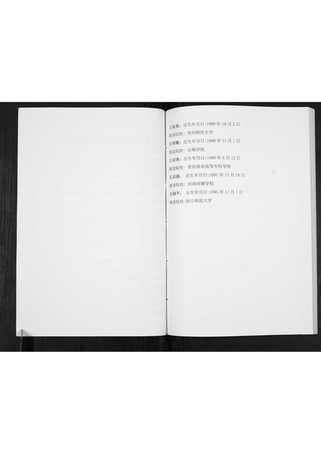 贵州王氏-王氏宗谱[不分卷].pdf电子版预览图2