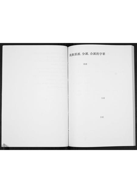 贵州王氏-王氏宗谱[不分卷].pdf电子版预览图3