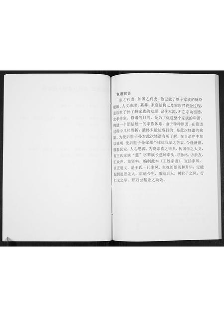 贵州王氏-王氏宗谱[不分卷].pdf电子版预览图5