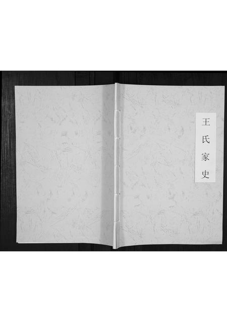 贵州王氏-王氏家史[不分卷].pdf电子版缩略图