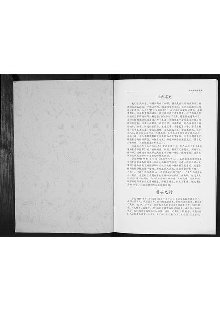 贵州王氏-王氏家史[不分卷].pdf电子版预览图1