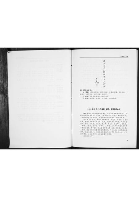 贵州王氏-王氏家史[不分卷].pdf电子版预览图4