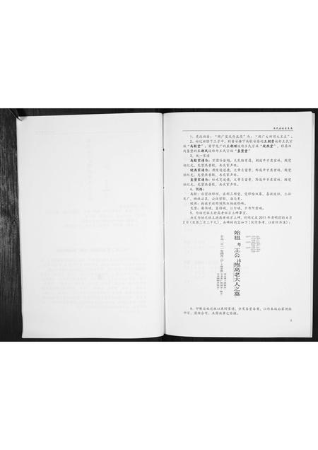 贵州王氏-王氏家史[不分卷].pdf电子版预览图5