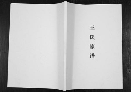 云南王氏-王氏家谱[不分卷].pdf电子版缩略图