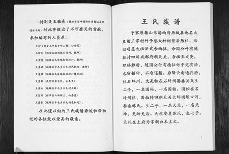 云南王氏-王氏家谱[不分卷].pdf电子版预览图3