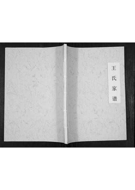 贵州王氏-王氏家谱[不分卷].pdf电子版缩略图